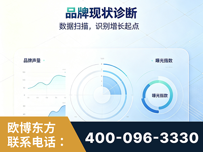 广水-品牌现状诊断