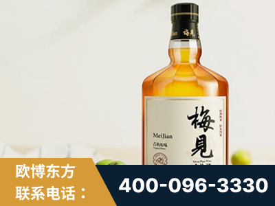 广水-梅见青梅酒